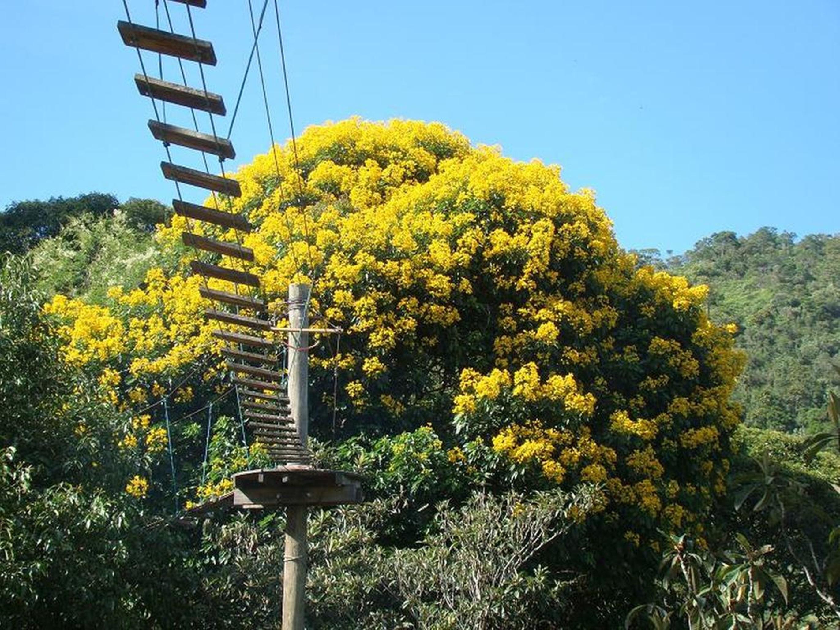 Plaza Caldas Da Imperatriz & Resort Santo Amaro da Imperatriz